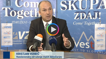 verbic dnevnik